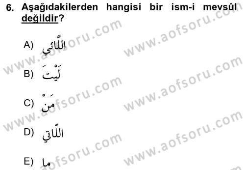 Arapça 3 Dersi 2020 - 2021 Yılı Yaz Okulu Sınav Soruları 6. Soru