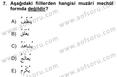 Arapça 3 Dersi 2020 - 2021 Yılı Yaz Okulu Sınav Soruları 7. Soru
