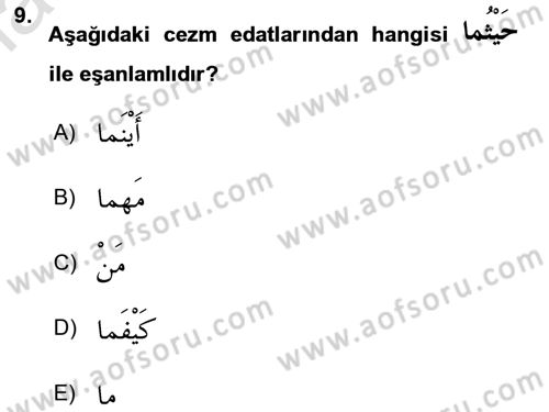 Arapça 3 Dersi 2020 - 2021 Yılı Yaz Okulu Sınav Soruları 9. Soru