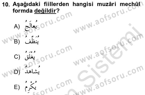 Arapça 3 Dersi 2021 - 2022 Yılı (Vize) Ara Sınav Soruları 10. Soru