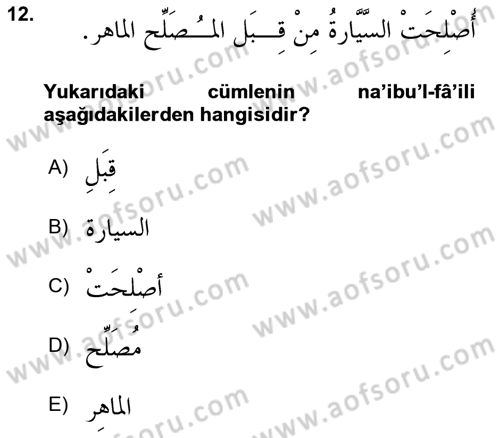 Arapça 3 Dersi 2021 - 2022 Yılı (Vize) Ara Sınav Soruları 12. Soru