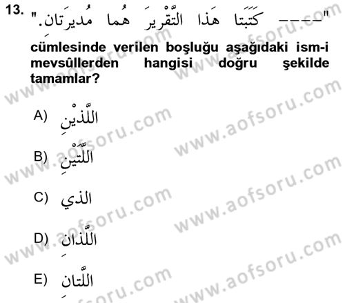Arapça 3 Dersi 2021 - 2022 Yılı (Vize) Ara Sınav Soruları 13. Soru