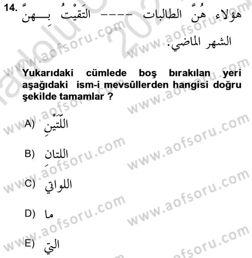 Arapça 3 Dersi 2021 - 2022 Yılı (Vize) Ara Sınav Soruları 14. Soru