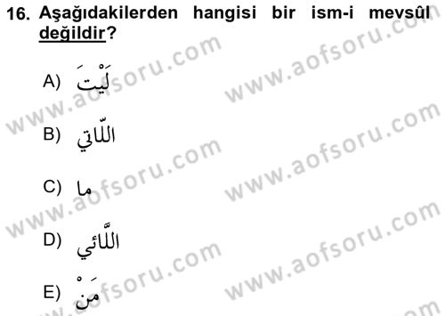 Arapça 3 Dersi 2021 - 2022 Yılı (Vize) Ara Sınav Soruları 16. Soru