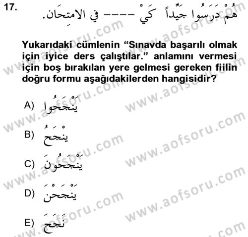 Arapça 3 Dersi 2021 - 2022 Yılı (Vize) Ara Sınav Soruları 17. Soru