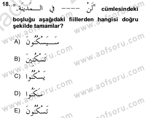 Arapça 3 Dersi 2021 - 2022 Yılı (Vize) Ara Sınav Soruları 18. Soru