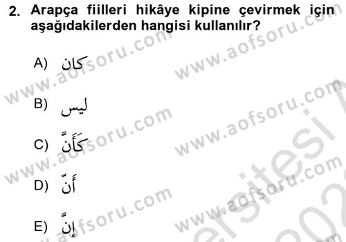 Arapça 3 Dersi 2021 - 2022 Yılı (Vize) Ara Sınav Soruları 2. Soru
