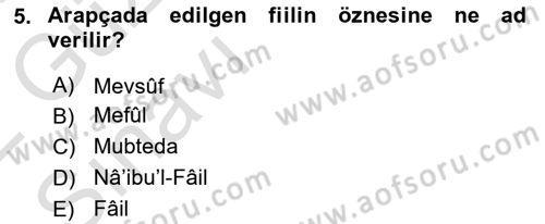 Arapça 3 Dersi 2021 - 2022 Yılı (Vize) Ara Sınav Soruları 5. Soru