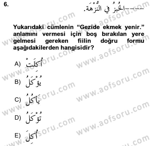 Arapça 3 Dersi 2021 - 2022 Yılı (Vize) Ara Sınav Soruları 6. Soru