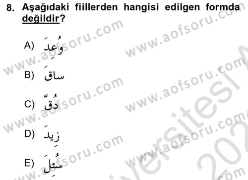 Arapça 3 Dersi 2021 - 2022 Yılı (Vize) Ara Sınav Soruları 8. Soru