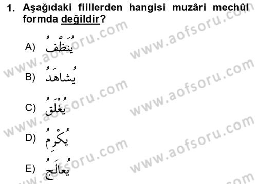 Arapça 3 Dersi 2021 - 2022 Yılı (Final) Dönem Sonu Sınav Soruları 1. Soru