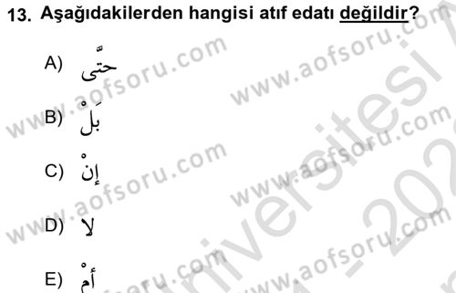 Arapça 3 Dersi 2021 - 2022 Yılı (Final) Dönem Sonu Sınav Soruları 13. Soru