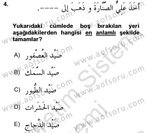 Arapça 3 Dersi 2021 - 2022 Yılı (Final) Dönem Sonu Sınav Soruları 4. Soru
