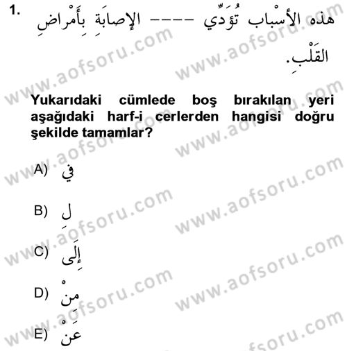 Arapça 3 Dersi 2021 - 2022 Yılı Yaz Okulu Sınavı 1. Soru