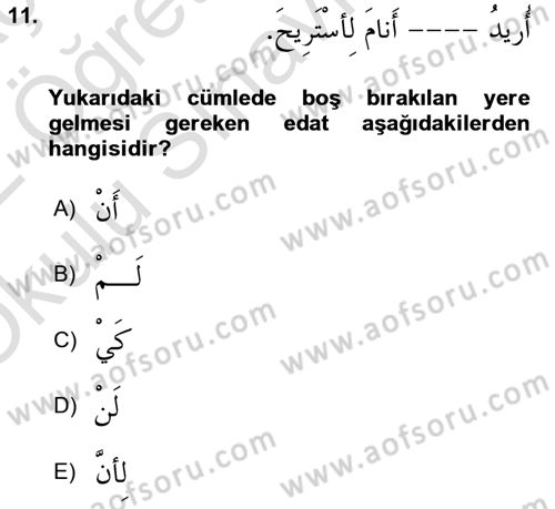 Arapça 3 Dersi 2021 - 2022 Yılı Yaz Okulu Sınav Soruları 11. Soru