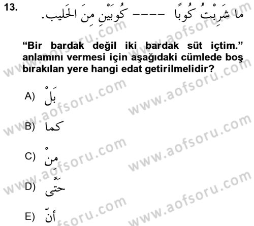 Arapça 3 Dersi 2021 - 2022 Yılı Yaz Okulu Sınav Soruları 13. Soru