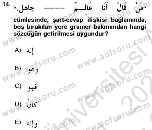 Arapça 3 Dersi 2021 - 2022 Yılı Yaz Okulu Sınav Soruları 14. Soru