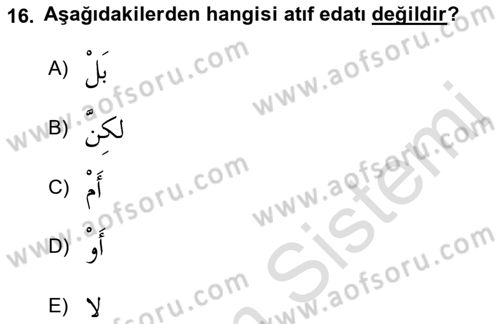 Arapça 3 Dersi 2021 - 2022 Yılı Yaz Okulu Sınav Soruları 16. Soru