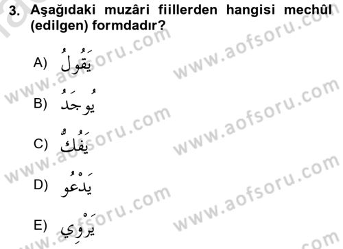 Arapça 3 Dersi 2021 - 2022 Yılı Yaz Okulu Sınavı 3. Soru