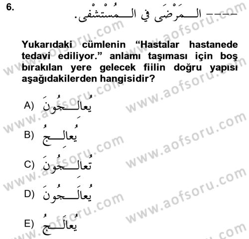 Arapça 3 Dersi 2021 - 2022 Yılı Yaz Okulu Sınavı 6. Soru