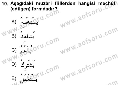 Arapça 3 Dersi 2022 - 2023 Yılı (Vize) Ara Sınav Soruları 10. Soru