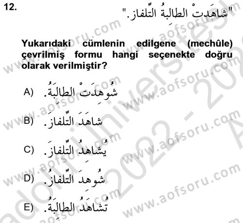 Arapça 3 Dersi 2022 - 2023 Yılı (Vize) Ara Sınav Soruları 12. Soru