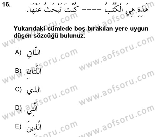 Arapça 3 Dersi 2022 - 2023 Yılı (Vize) Ara Sınav Soruları 16. Soru