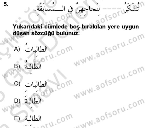 Arapça 3 Dersi 2022 - 2023 Yılı (Vize) Ara Sınav Soruları 5. Soru