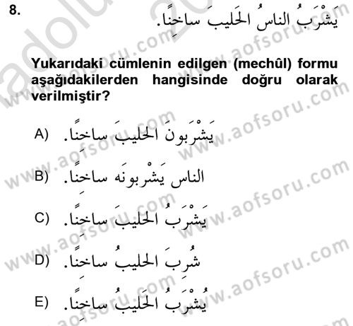 Arapça 3 Dersi 2022 - 2023 Yılı (Vize) Ara Sınav Soruları 8. Soru