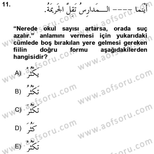 Arapça 3 Dersi 2022 - 2023 Yılı (Final) Dönem Sonu Sınav Soruları 11. Soru