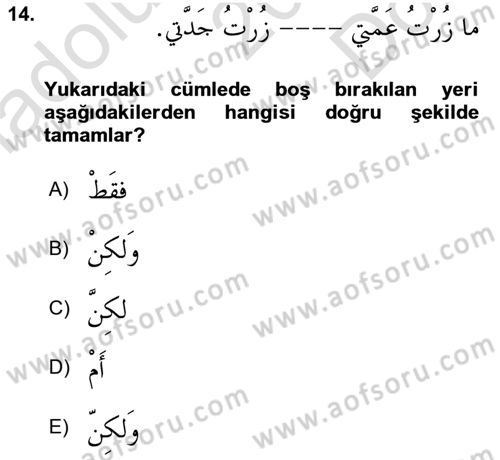Arapça 3 Dersi 2022 - 2023 Yılı (Final) Dönem Sonu Sınav Soruları 14. Soru