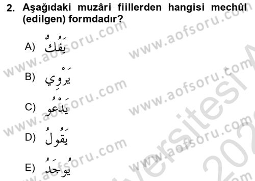 Arapça 3 Dersi 2022 - 2023 Yılı (Final) Dönem Sonu Sınav Soruları 2. Soru