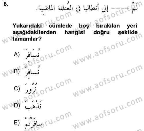 Arapça 3 Dersi 2022 - 2023 Yılı (Final) Dönem Sonu Sınav Soruları 6. Soru