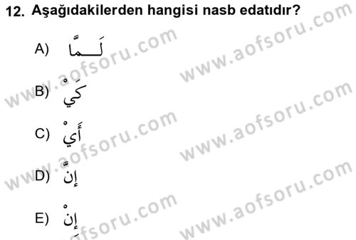 Arapça 3 Dersi 2022 - 2023 Yılı Yaz Okulu Sınav Soruları 12. Soru