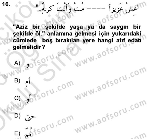 Arapça 3 Dersi 2022 - 2023 Yılı Yaz Okulu Sınav Soruları 16. Soru