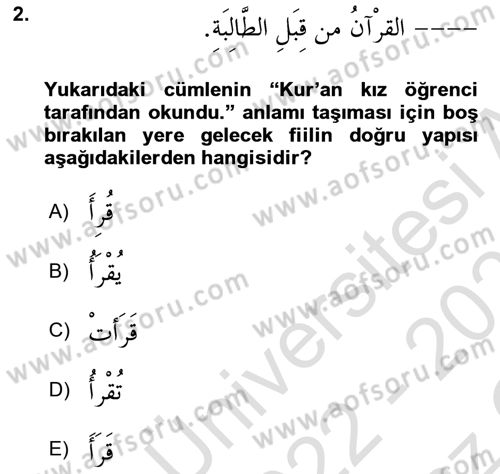 Arapça 3 Dersi 2022 - 2023 Yılı Yaz Okulu Sınav Soruları 2. Soru