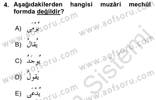 Arapça 3 Dersi 2022 - 2023 Yılı Yaz Okulu Sınav Soruları 4. Soru