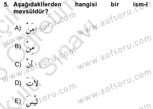 Arapça 3 Dersi 2022 - 2023 Yılı Yaz Okulu Sınav Soruları 5. Soru