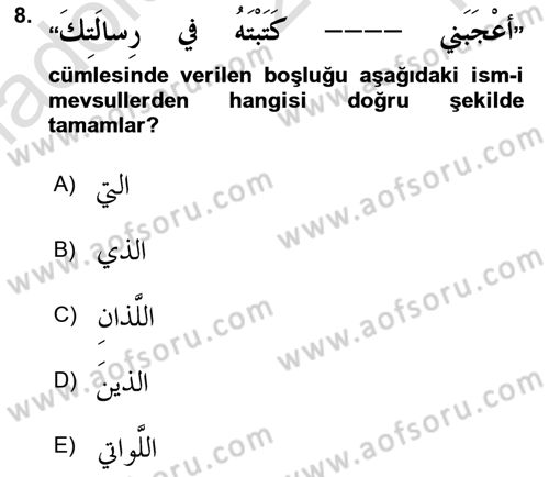 Arapça 3 Dersi 2022 - 2023 Yılı Yaz Okulu Sınav Soruları 8. Soru