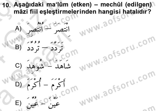 Arapça 3 Dersi 2023 - 2024 Yılı (Vize) Ara Sınav Soruları 10. Soru