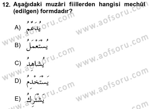 Arapça 3 Dersi 2023 - 2024 Yılı (Vize) Ara Sınav Soruları 12. Soru