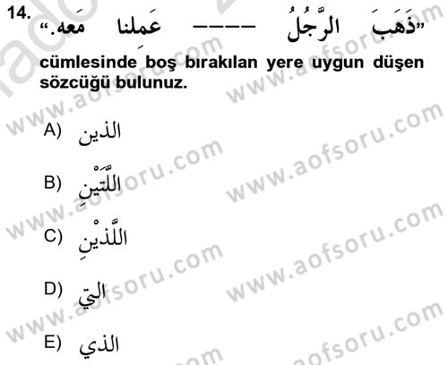 Arapça 3 Dersi 2023 - 2024 Yılı (Vize) Ara Sınav Soruları 14. Soru