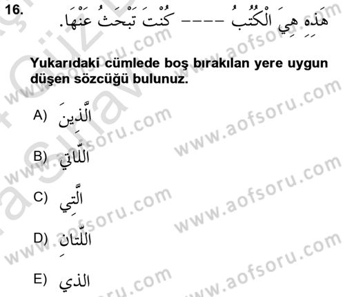 Arapça 3 Dersi 2023 - 2024 Yılı (Vize) Ara Sınav Soruları 16. Soru