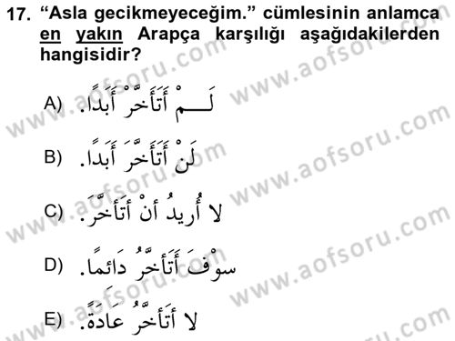 Arapça 3 Dersi 2023 - 2024 Yılı (Vize) Ara Sınav Soruları 17. Soru