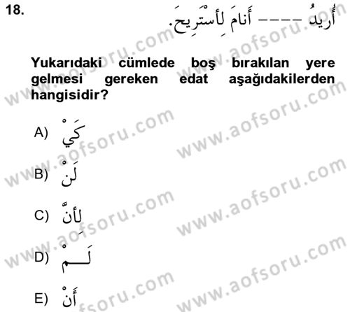 Arapça 3 Dersi 2023 - 2024 Yılı (Vize) Ara Sınav Soruları 18. Soru