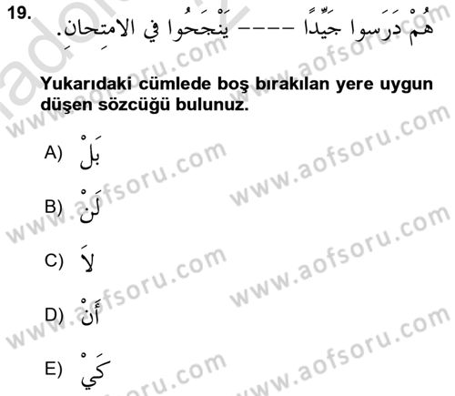 Arapça 3 Dersi 2023 - 2024 Yılı (Vize) Ara Sınav Soruları 19. Soru