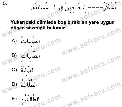 Arapça 3 Dersi 2023 - 2024 Yılı (Vize) Ara Sınav Soruları 5. Soru