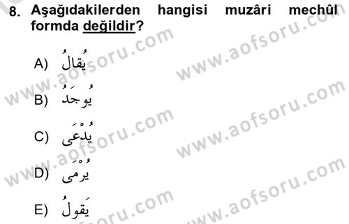 Arapça 3 Dersi 2023 - 2024 Yılı (Vize) Ara Sınav Soruları 8. Soru