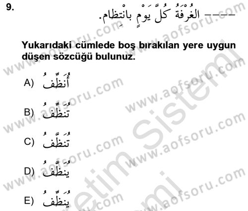Arapça 3 Dersi 2023 - 2024 Yılı (Vize) Ara Sınav Soruları 9. Soru