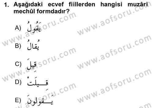 Arapça 3 Dersi 2023 - 2024 Yılı (Final) Dönem Sonu Sınav Soruları 1. Soru